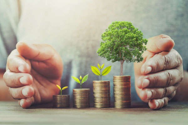 A pile of coins with plants on top and male hands protecting them - Investing in real estate will help you build a diversified portfolio - DG Pinnacle Commercial - Miami Mortgage Lender