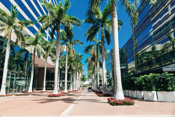 Empty streets Miami downtown - Miami, Tampa Top Home Price Hikes - DG Pinnacle Commercial - Miami Mortgage Lender